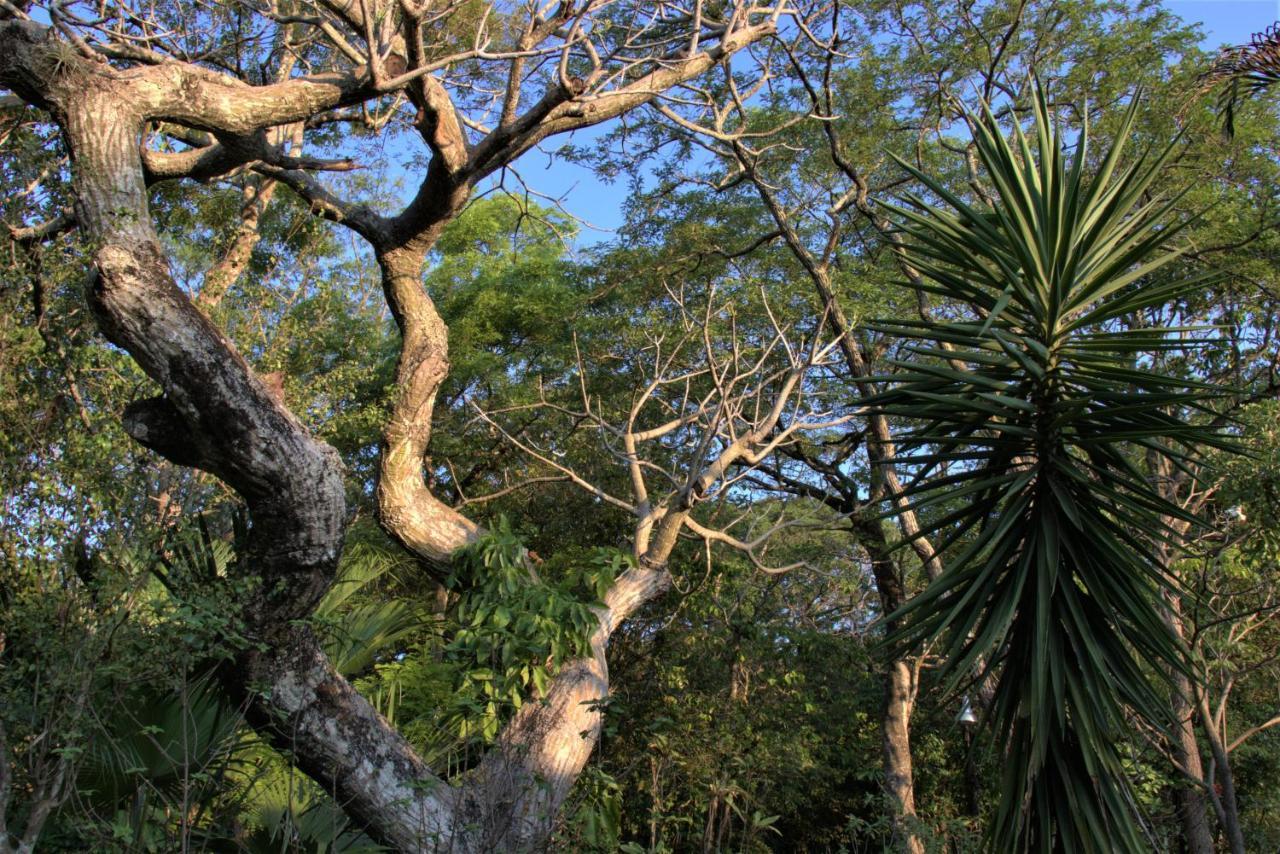 Willa Casa Unica Com Piscina E Lareira A 1,2 Km Do Centro Chapada dos Guimarães Zewnętrze zdjęcie