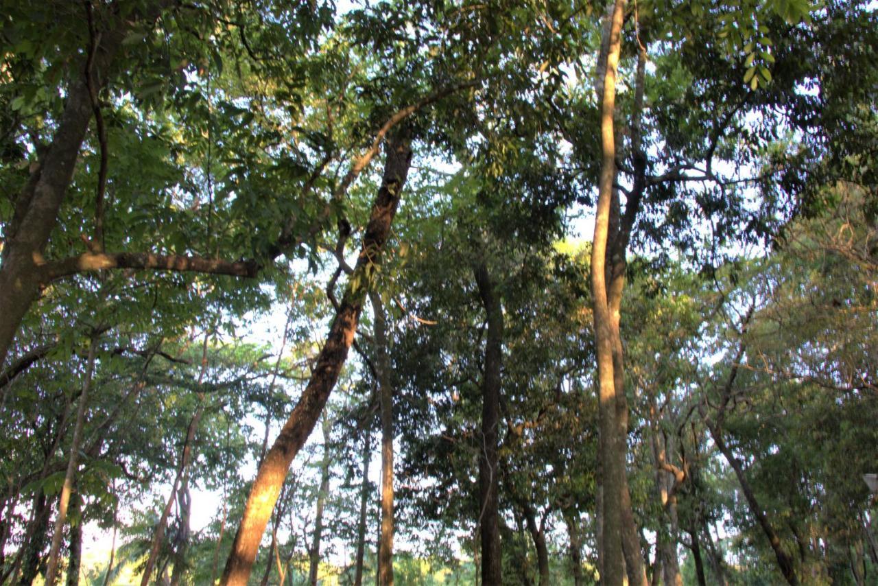 Willa Casa Unica Com Piscina E Lareira A 1,2 Km Do Centro Chapada dos Guimarães Zewnętrze zdjęcie